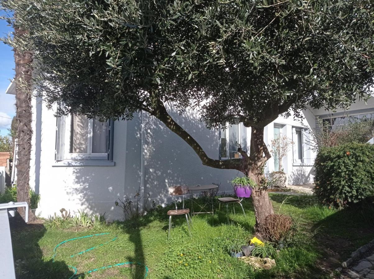 Chambre meublée indépendante, avec piscine, pour 2 personnes Tolosa Esterno foto
